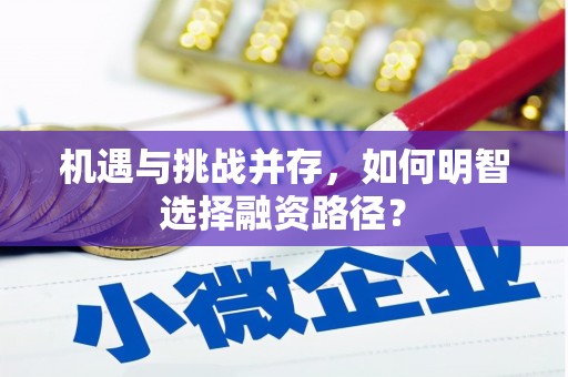 卓兰机遇与挑战并存，如何明智选择融资路径？